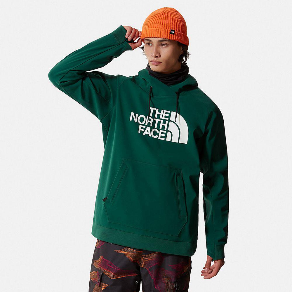 The North Face Tekno Logo Ανδρικα Φούτερ Hoodie - Πρασινο (CEFV59418)